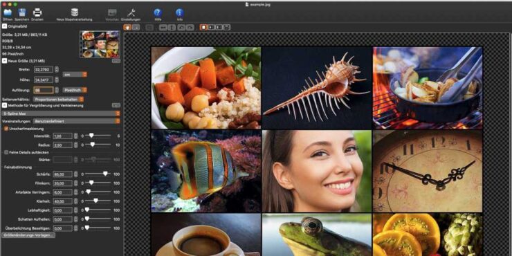 PhotoZoom Pro v9.0.0 多语便携版 图像无损放大软件-1